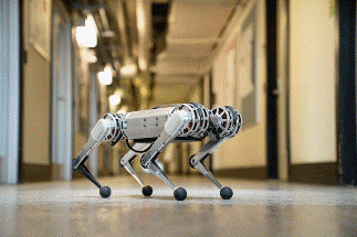 Mini Cheetah is the First Four-Legged Robot to do a Backflip