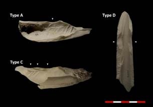 Artificial Intelligence Used for Examining Archaeological Sites