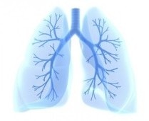Google, Northwestern Scientists Design AI System Capable of Detecting Lung Cancer Before Radiologists