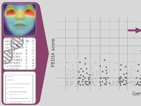 Researchers Show AI can Diagnose Rare Diseases Using Portrait Photos and Genetic and Patient Data