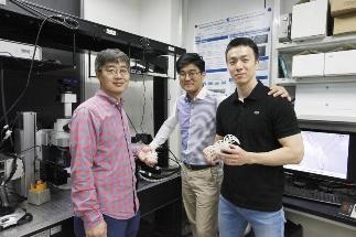 Scaffold Microrobots Used Successfully in Cell Transplantation