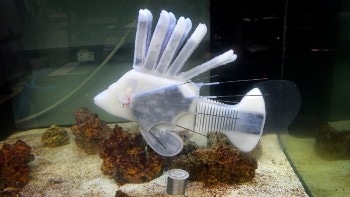 New Robot Vascular System Offers Numerous Possibilities