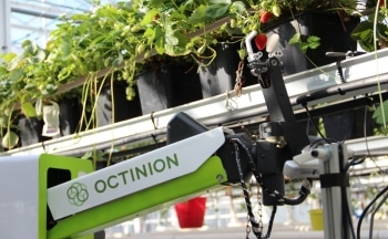 Photonics: Strawberry-Picking Robots to Gather Enough Fruit for Wimbledon in 1 Week