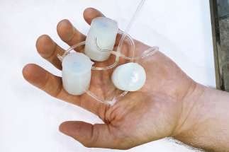 Pneumatic Ring Oscillator Gives New Abilities to Soft Robots