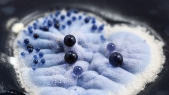 Helping Robots to Speedily Produce New Antibiotics