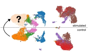 New AI-Powered Tool Could Revolutionize Diagnosis and Treatment of Various Diseases