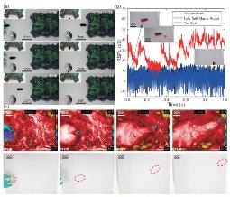 Study Demonstrates Fully Untethered Soft Robots in Liquid