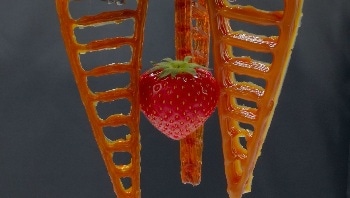 Researchers to Develop Next-Generation Robots that Feel Pain and Heal Themselves