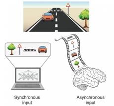 New Type of Artificial Intelligence Inspired by the Brain