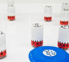 Inspired from Nature - Robots can Now Learn to Swarm on the Go