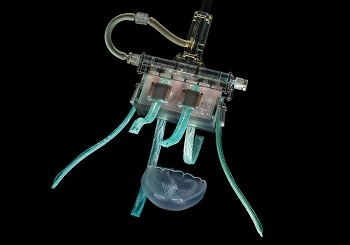 Ultra-Soft Robotic Grippers Developed to Help Collect Marine Life