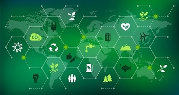 Enabling Environmental Sustainability Using AI and IoT