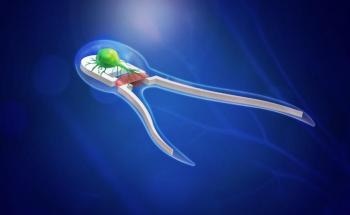Self-Propelled Biohybrid Biobots Driven by Live Cells Derived from Rats
