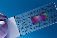 Researchers Find Way to Make Smart Computers More Energy Efficient