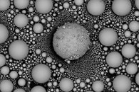 Techcyte Awarded Patent for AI-Based Image Analysis Approach to Detect Mold Spores