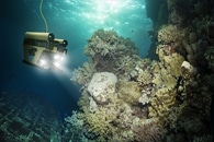 Plastic Mini Robot Moves Under the Influence of Light and Magnetism