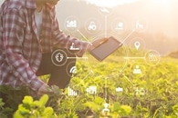 AI and Nanotechnology Could Offer Solution to Global Food Security Challenges