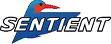 Unmanned Air Vehicles Incorporate Kestrel Vision System