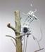 Hong Kong Engineers Develop Autonomous Robot with Tree Crawling Capabilities