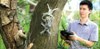 Treebot Developed at The Chinese University of Hong Kong