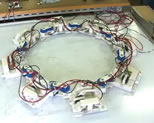 Snail-Wave Omnidirectional Mobile Robot