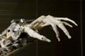 NSF Awards Grant to Establish Engineering Research Center for Sensorimotor Neural Engineering
