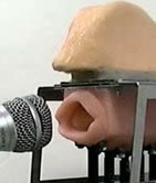 Cool or Creepy? A Robot Mouth