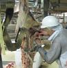 Kinea and Scott Technology to Jointly Develop HookAssist Beef Boning Collaborative Robot