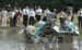 NARO Researchers Develop Rice-Field Farming Robots