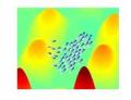 Robotics Researchers Develop Computational Model Inspired by Bacteria