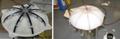 Research Team from Virginia Polytechnic Institute Develop Robojelly for Naval Research