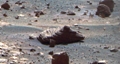 NASA’s ROVER Opportunity Discovers Mineral Deposits on Mars