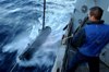 Remote MineHunting System Completes Critical Reliability Testing