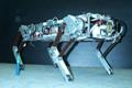 Study on Animals’ Control Strategies to Help Develop High-Speed Running Robots