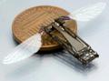 John Hopkins Researchers Study Butterflies to Develop Bug Size Flying Robots
