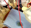 Ecobot Digests Biomass, Excretes Waste!