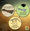 Drexel Researchers to Create Robotic Dinosaurs Using 3-D Printing