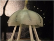 Scientists Develop Self-Powered, Pollution-Free Robot Jellyfish
