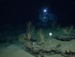 ROV-Assisted Marine Research Determines Deepwater Horizon Explosion Impact on Corals