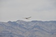 U.S. Marine Corps to Receive Four Different AeroVironment Small UAS