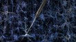 MIT and Georgia Tech Scientists Create Robotic Arm for Neuron Detection