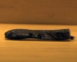 Soft Autonomous Robot Crawls Like an Earthworm