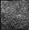 NASA Mars Rover Detects Mysterious Small Martian Spheres