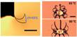 Researchers Develop Robust Microactuators for Micro-Scale Robotics