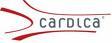 Cardiothoracic Surgeons to Discuss on Automated Anastomosis Systems