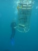 Bluefin Robotics Reports Production of Over 1,000,000 Wh of Subsea Batteries