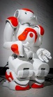 Researcher Defines Various Styles of Human Movement for Reproduction on a Humanoid Robot