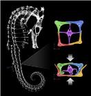 Bone Structure of Sea Horses Inspires Creation of Flexible Robotic Arms