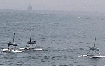 KAIST Team Develops Unmanned Aquatic Robot to Eradicate Jellyfish