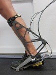 NIH Grant to Develop Innovative Assistive Robots